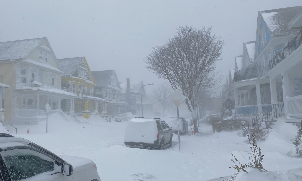 Laurel Street in Buffalo during the December 2022 blizzard
